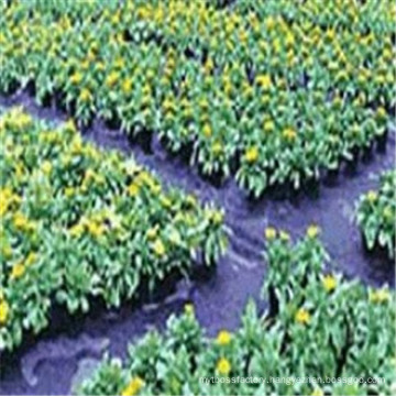 Polypropylene Woven Ground Cover Landscape Fabric